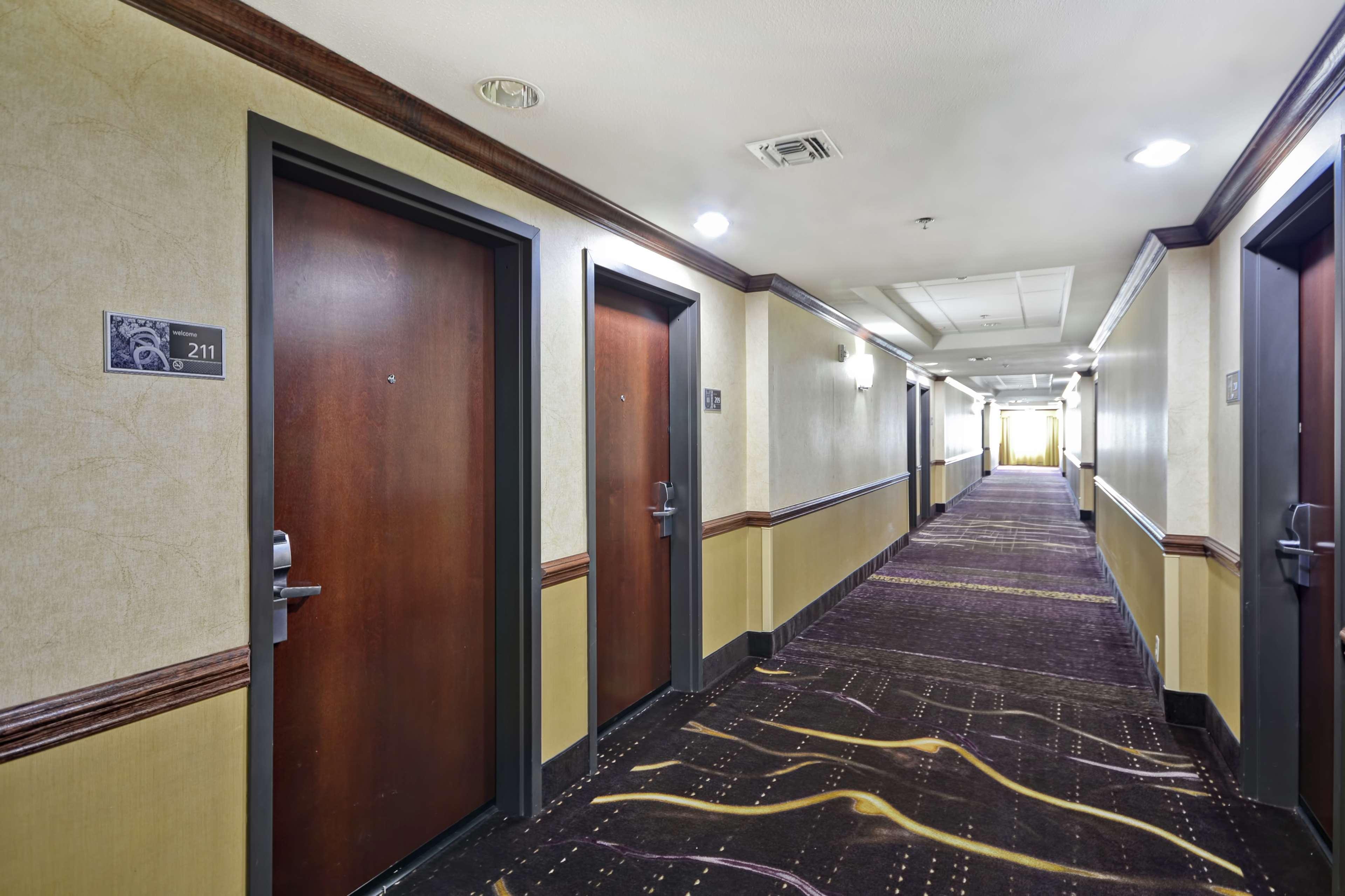 Hampton Inn & Suites Corpus Christi I-37 - Navigation Boulevard Extérieur photo
