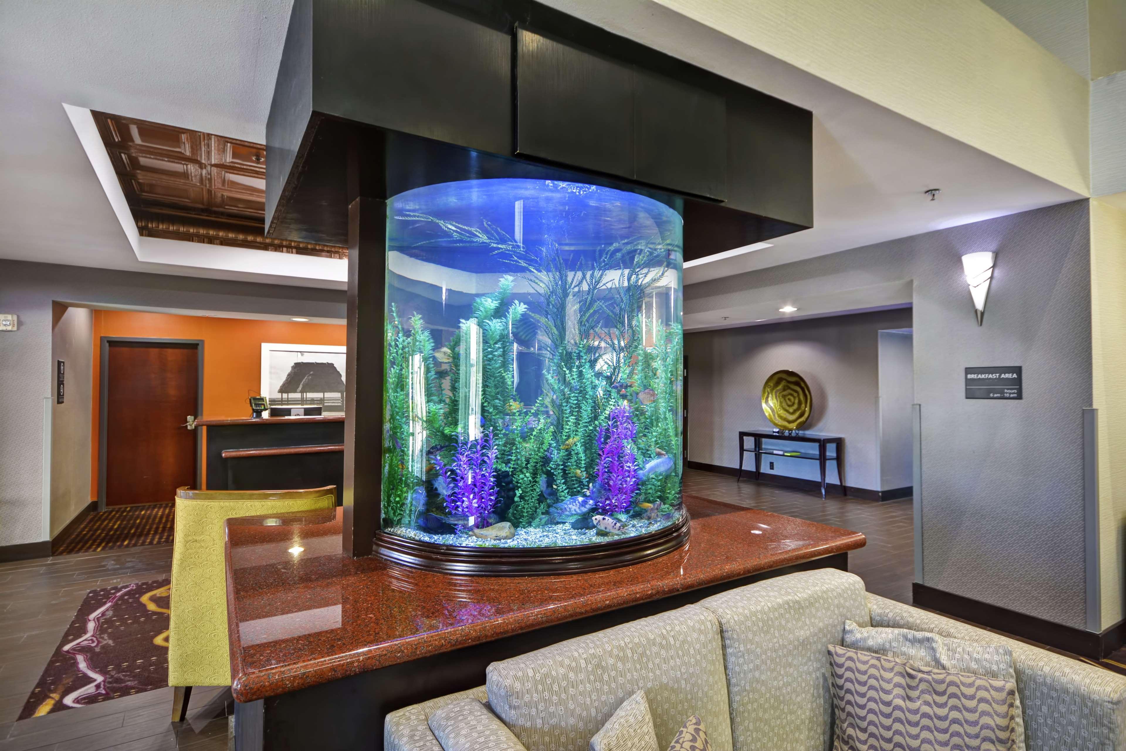 Hampton Inn & Suites Corpus Christi I-37 - Navigation Boulevard Extérieur photo